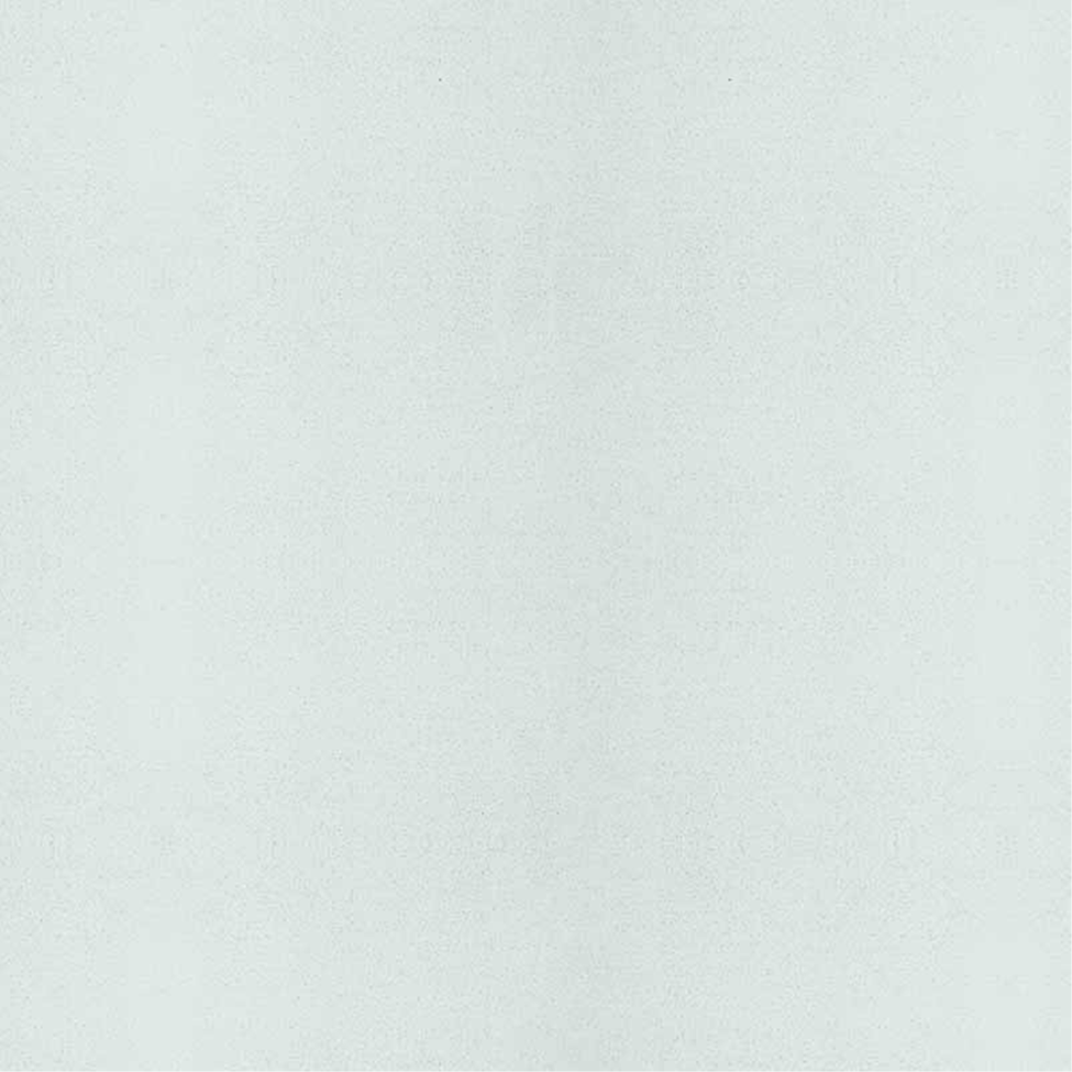 Lehmstreichputz Kristall-Weiß-3 Frostweiß - Lehmmeister