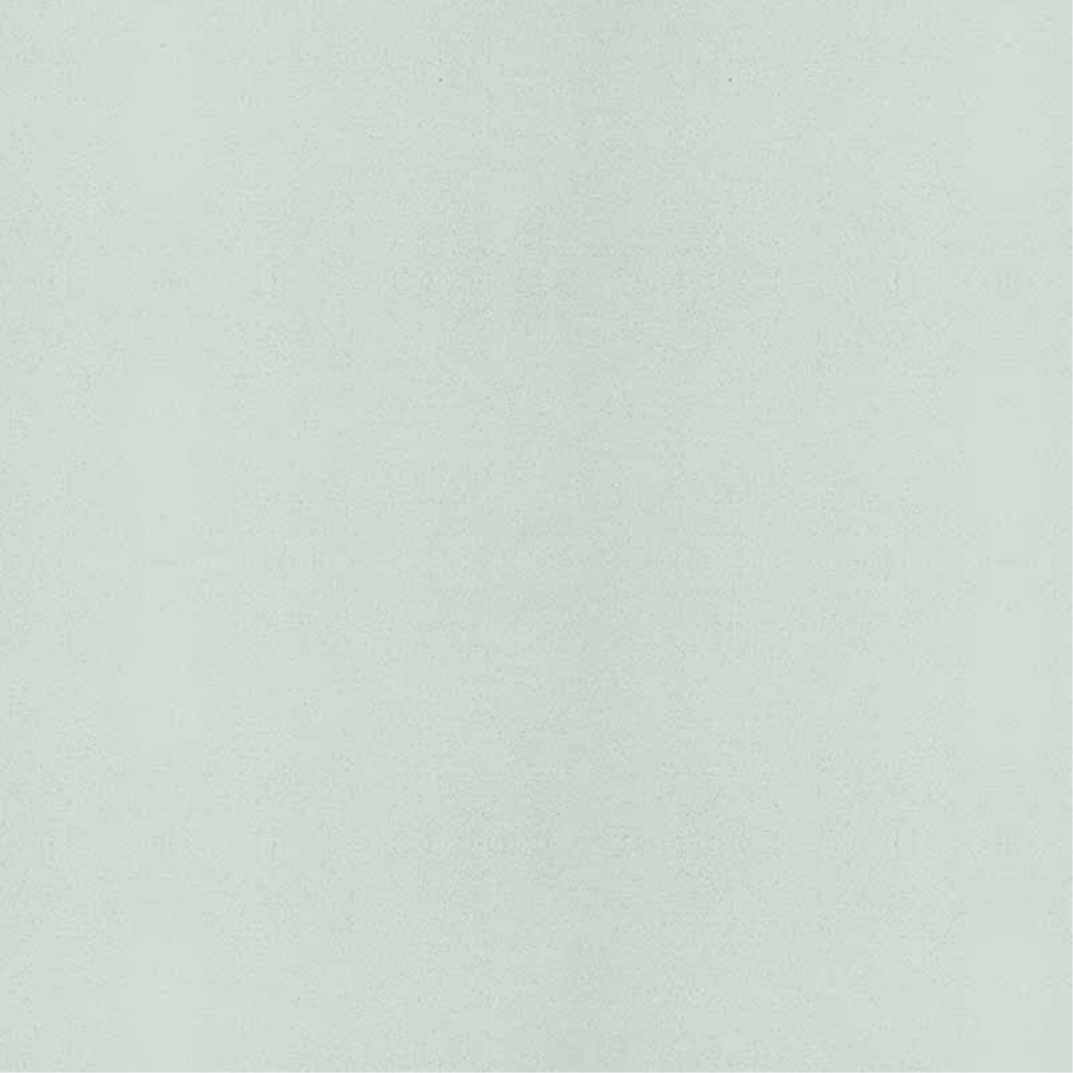 Lehmstreichputz Smaragd-Grün-1 Salbeigrün - Lehmmeister