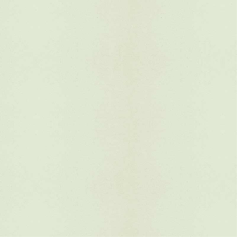 Lehmstreichputz Smaragd-Grün-2 Farngrün - Lehmmeister