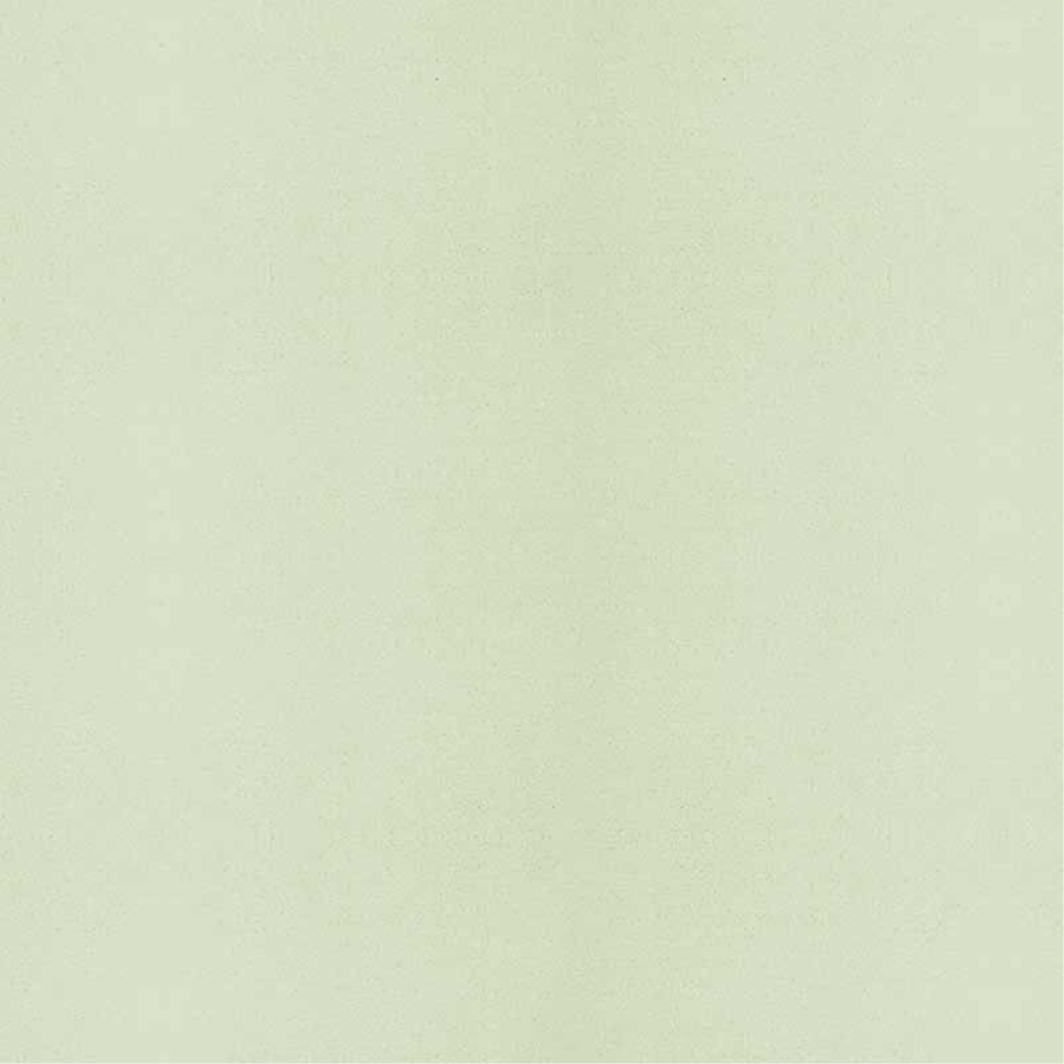 Lehmstreichputz Smaragd-Grün-3 Minzgrün - Lehmmeister