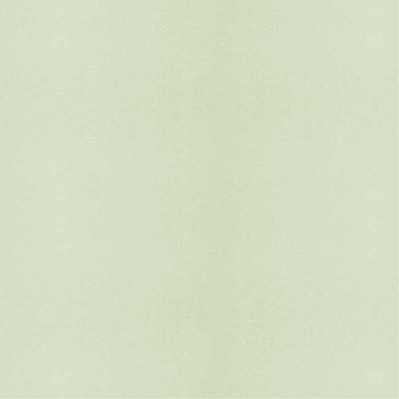 Lehmstreichputz Smaragd-Grün-3 Minzgrün - Lehmmeister