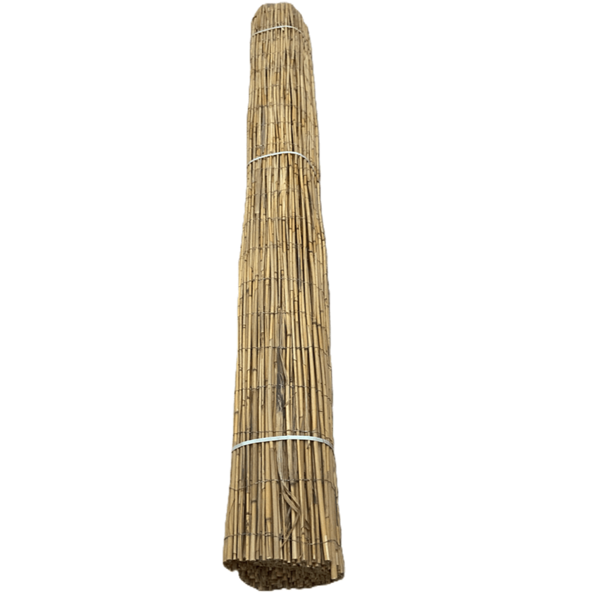 Schilfrohrgewebe 70 Halme - Lehmmeister