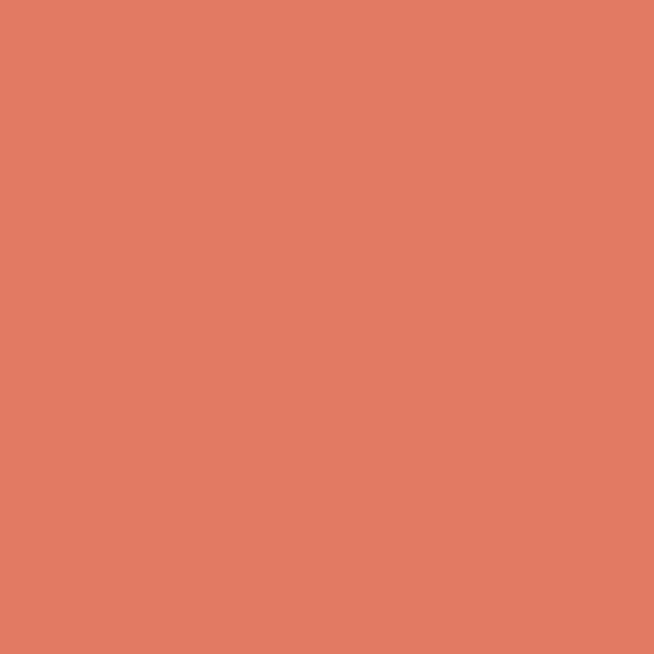 VOLVOX Espressivo Lehmfarbe - (039) powder rouge