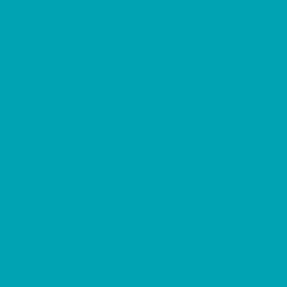 VOLVOX Espressivo Lehmfarbe - (268) aqua