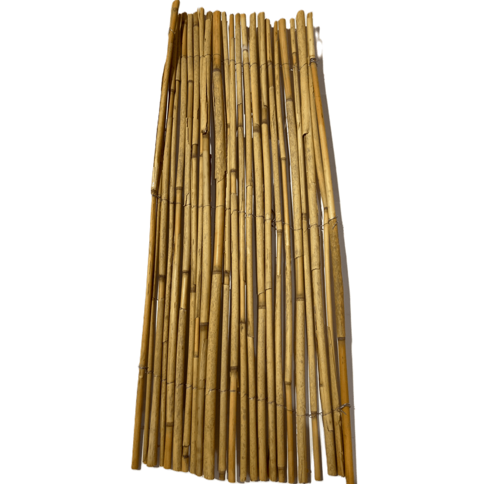 PILOSITH®/Schilfrohrgewebe, 70 stängelig, 2x5m, als Putzträger – Produktansicht