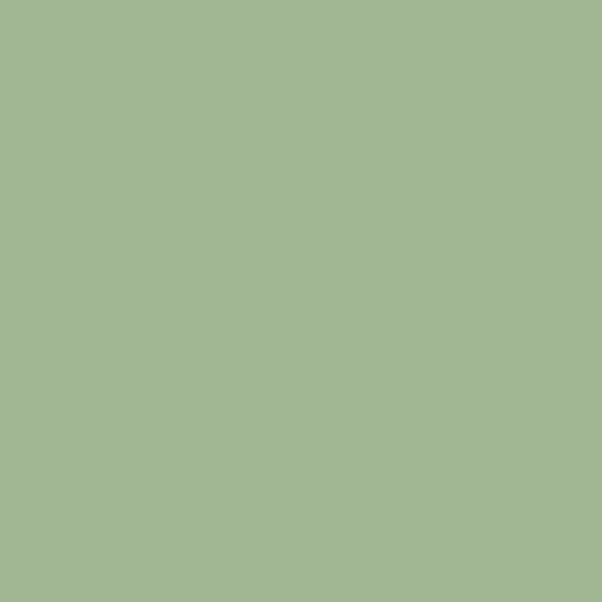 VOLVOX Espressivo Lehmfarbe - (067) tierra verde – Produktansicht