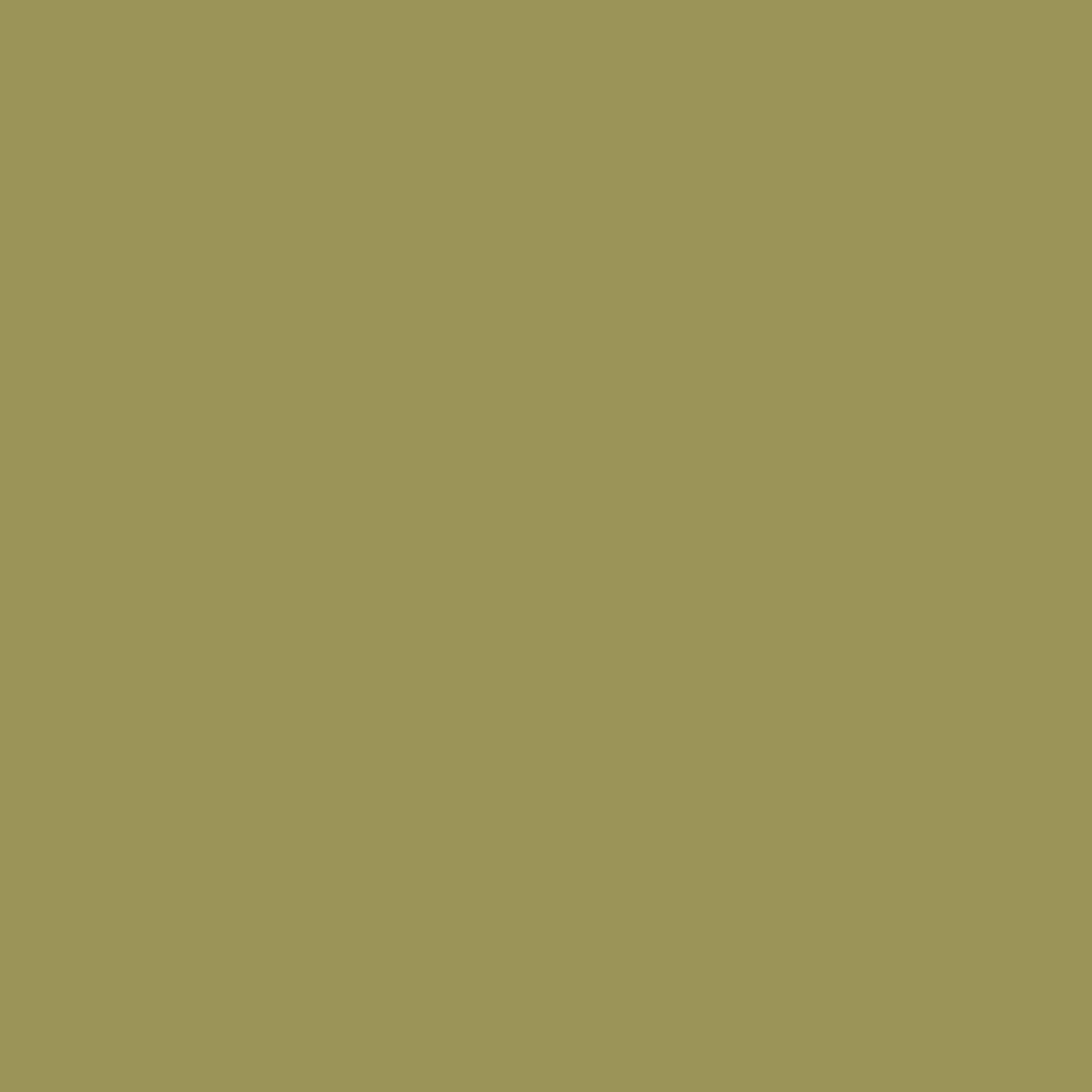 VOLVOX Espressivo Lehmfarbe - (308) olive - Lehmmeister