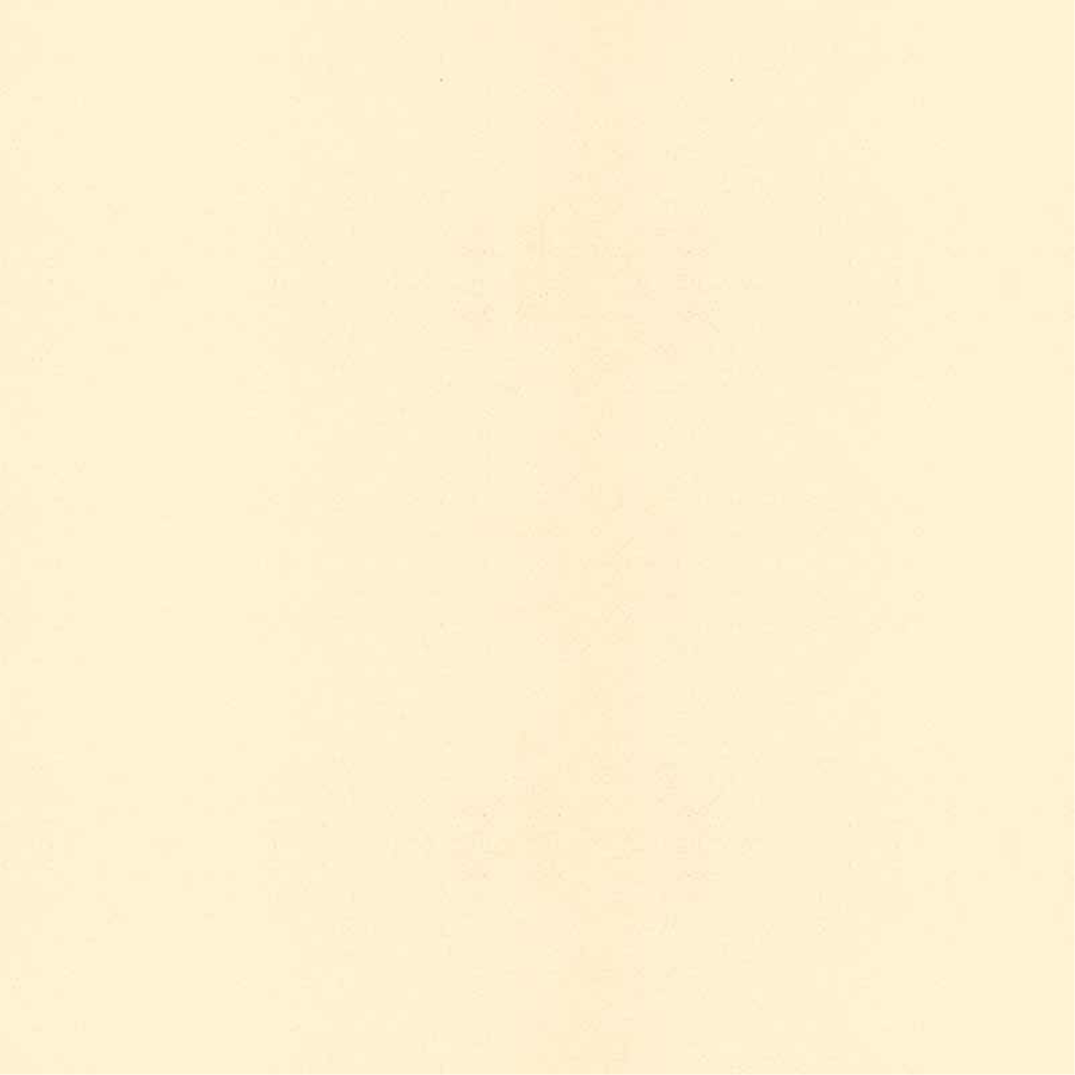 Lehmstreichputz Sonnenstein-Gelb-1 Cremegelb – Produktansicht
