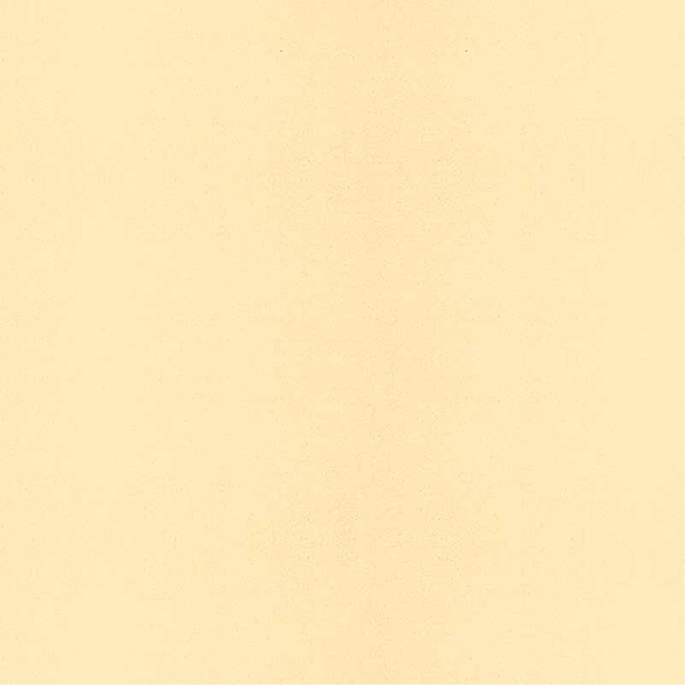 Lehmstreichputz Sonnenstein-Gelb-2 Chamoisgelb – Produktansicht