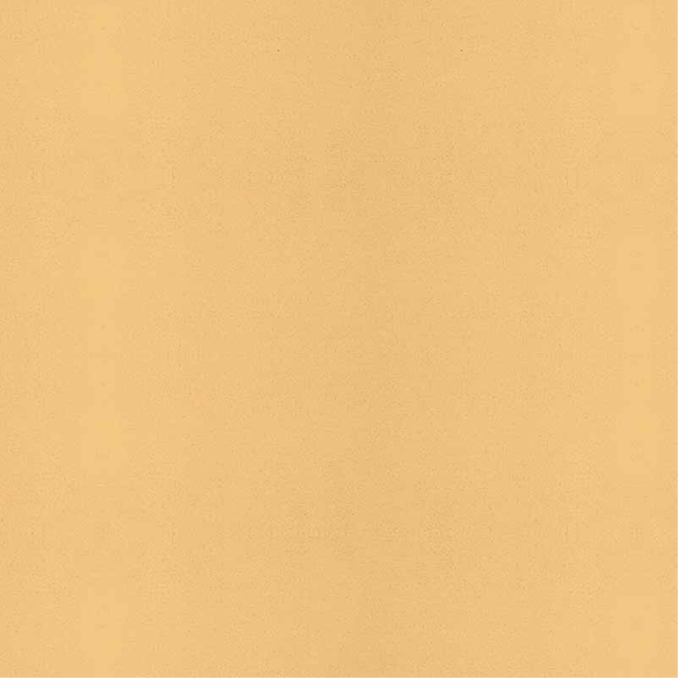 Lehmstreichputz Sonnenstein-Gelb-5 Goldgelb – Produktansicht